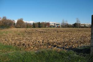 Terreno edificabile Sandigliano