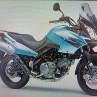 Suzuki. v strom 650