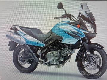 Suzuki. v strom 650
