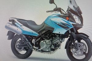 Suzuki. v strom 650
