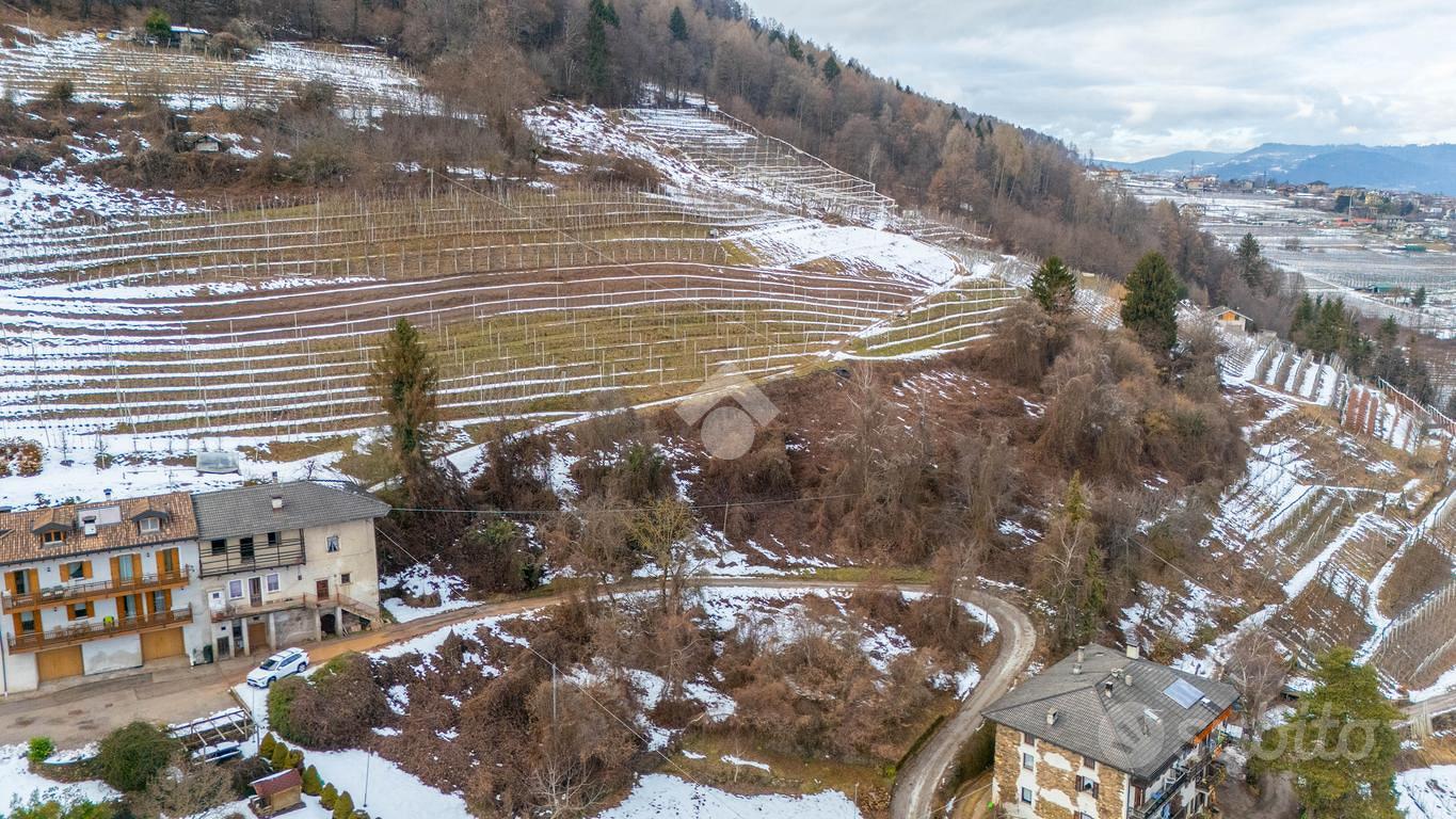 TER. AGRICOLO A PERGINE VALSUGANA - Vista 5