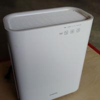 Depuratore ionizzatore