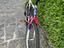 Immagine 3