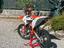 Immagine 3