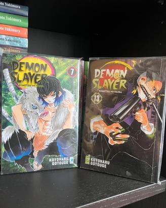 Demon Slayer 7 e 13