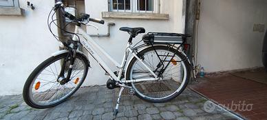 Bicicletta elettrica