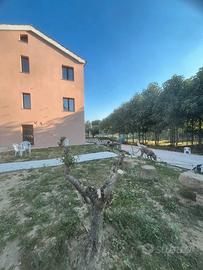 Bilocale appena ristrutturato