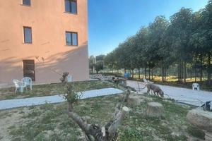 Bilocale appena ristrutturato