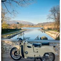 Galletto Guzzi 192 Ap