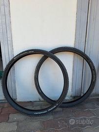 coppia copertoni MTB