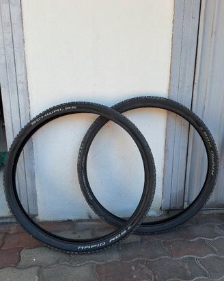 coppia copertoni MTB
