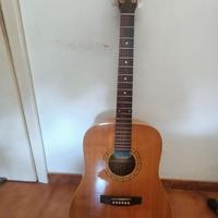 Chitarra acustica & e amp +mic Shure