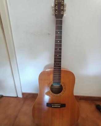 Chitarra acustica & e amp +mic Shure