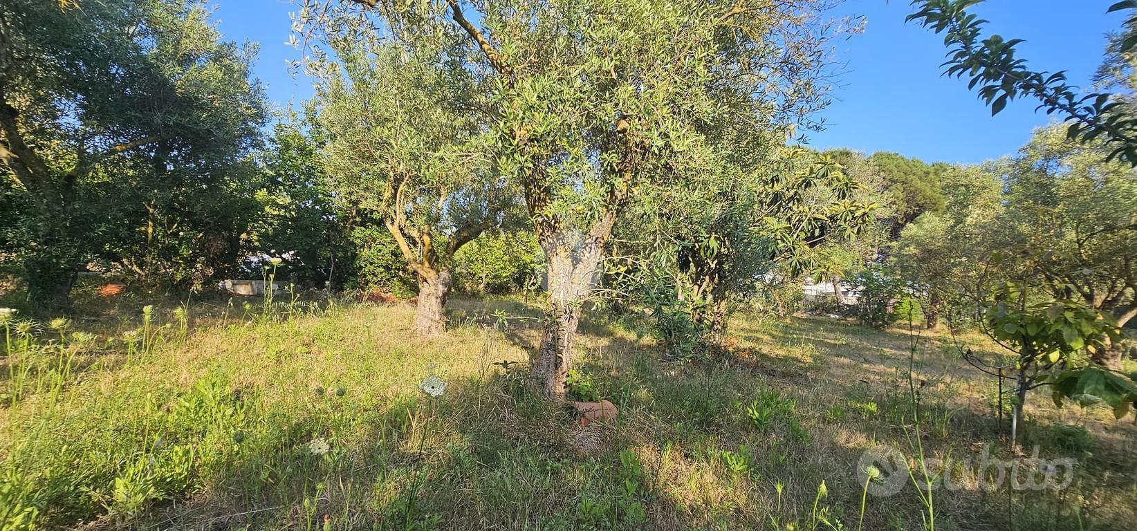 TER. AGRICOLO A QUARTUCCIU - Altro