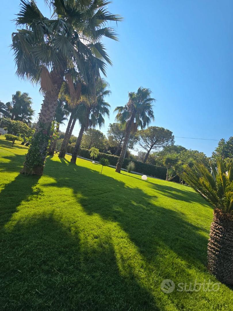 Casa – Mesagne, Brindisi - Vista 4