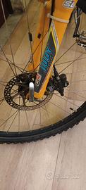 bicicletta 26