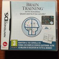 Nintendo Ds brain training