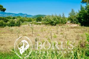 Terreno agricolo faccia strada