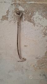 ganci antichissimi in ferro 