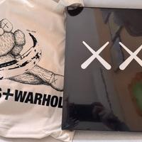 Libro kaws uniqlo Andy warhol