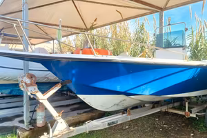 Barca Open Laver Tonnetto 600 + Suzuki 40 con 90h