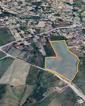 Terreno agricolo