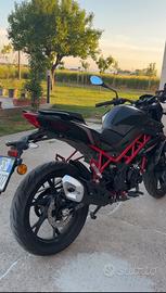 Benelli bn 125