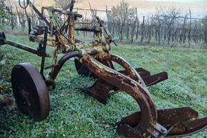 Aratro Borgatti bivomere