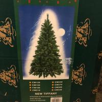 Albero Natale + luci