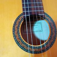 Chitarra acustica Alhambra 3F amplificata