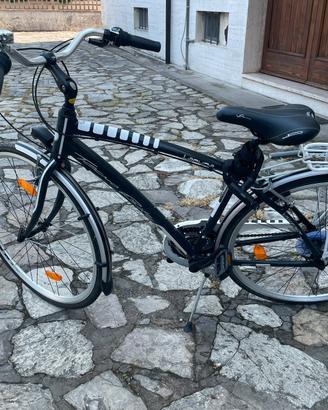 Bici uomo Laguna tecnobike