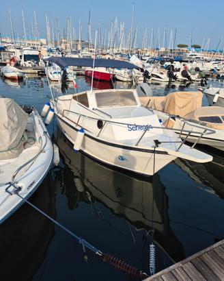 Javazzo 650 Aifo 80cv
