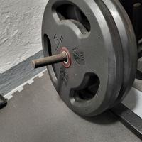 2 Dischi gomma bodybuilding 20kg 28mm