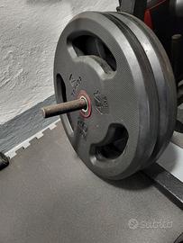 2 Dischi gomma bodybuilding 20kg 28mm