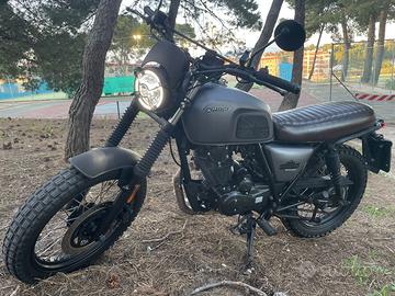 Brixton Felsberg 125 - 2024