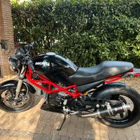 Ducati monster 695