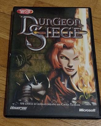 videogioco PC: Dungeon Siege