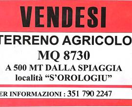 Terreno agricolo Tortolì, verso Orrì