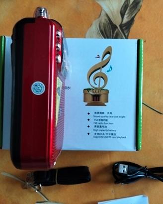 Radio Stereo Hiunday 10 watt
