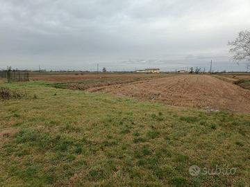 RGE 278/2023 Trib Pavia -LOTTO 4