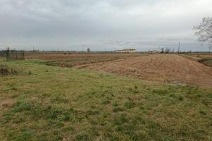 RGE 278/2023 Trib Pavia -LOTTO 4