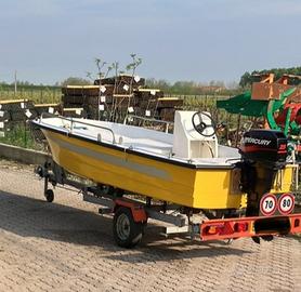 Barca 5m a motore con carrello