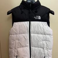 gilet the north face