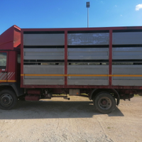 Iveco zeta 60.11 trasporto bestiame