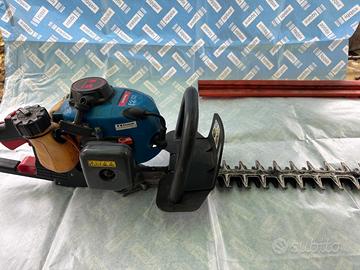 tagliasiepi a motore