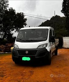 Fiat Ducato cassonato