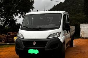 Fiat Ducato cassonato