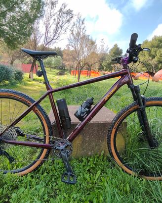 Bergamont revox 7