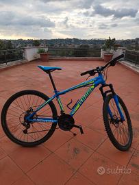 Mountain bike brera