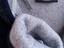 Immagine 4